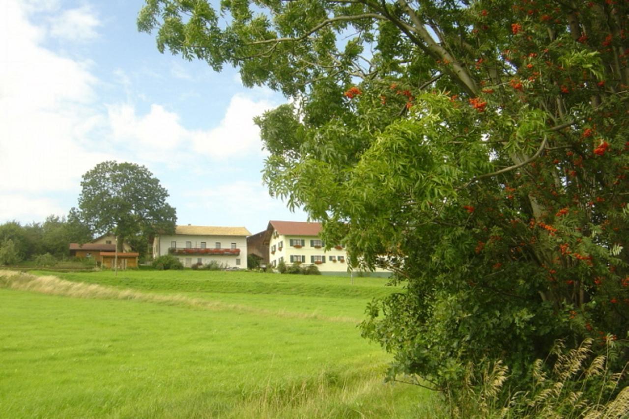 Birkenhof Apartment Нойкирхен байм Хайлиген Блут Екстериор снимка